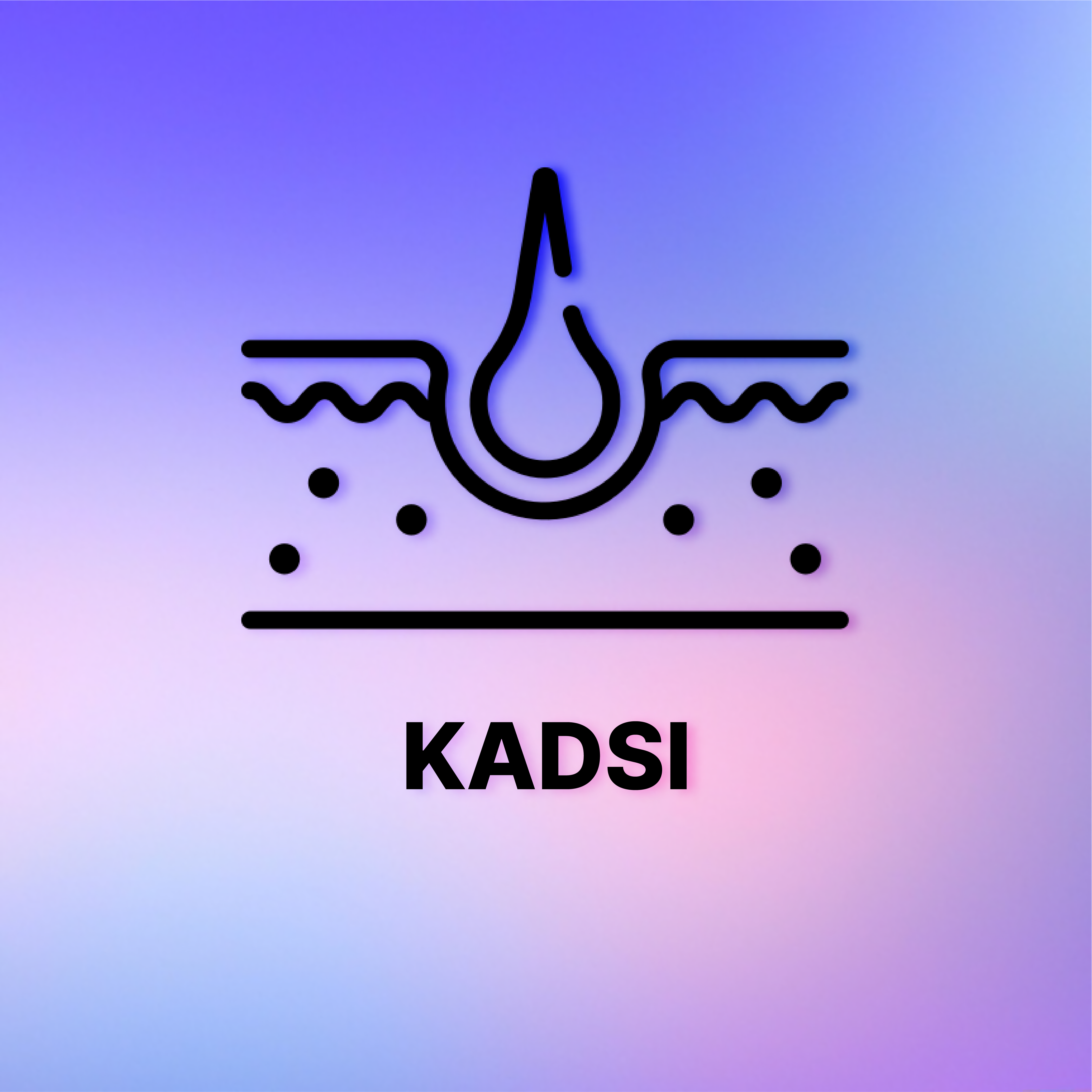 Image du projet KADSI